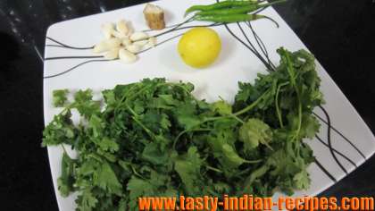 Ingredients for making mint chutney