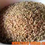 Sesame Seeds